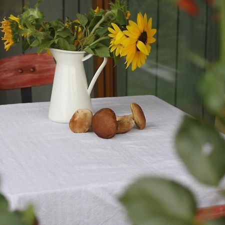 Holiday Home Trnavsko Bogojina Екстериор снимка