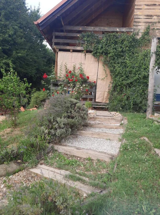 Holiday Home Trnavsko Bogojina Екстериор снимка
