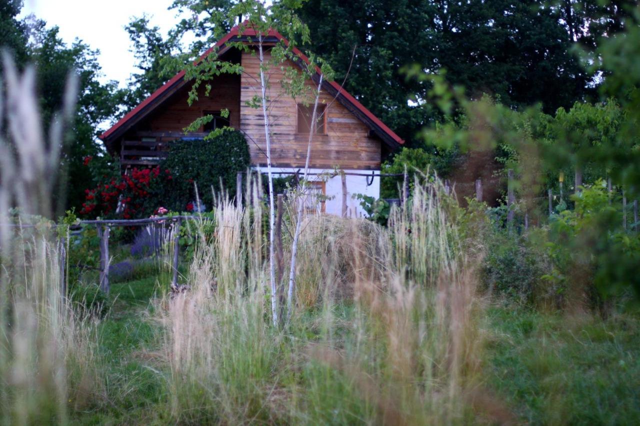 Holiday Home Trnavsko Bogojina Екстериор снимка